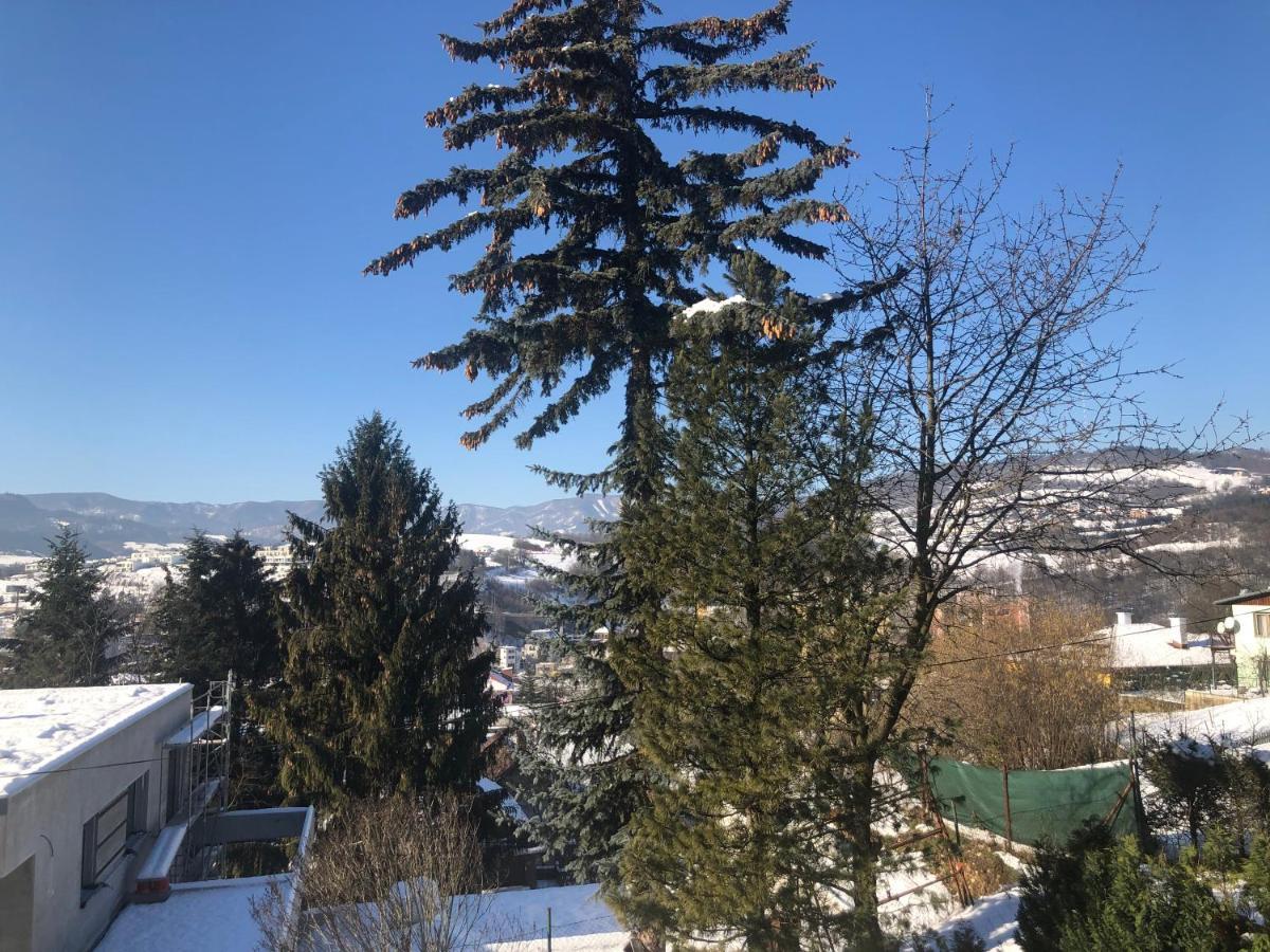Apartment, Sun Terrace, Privat Parking バンスカー・ビストリツァ エクステリア 写真