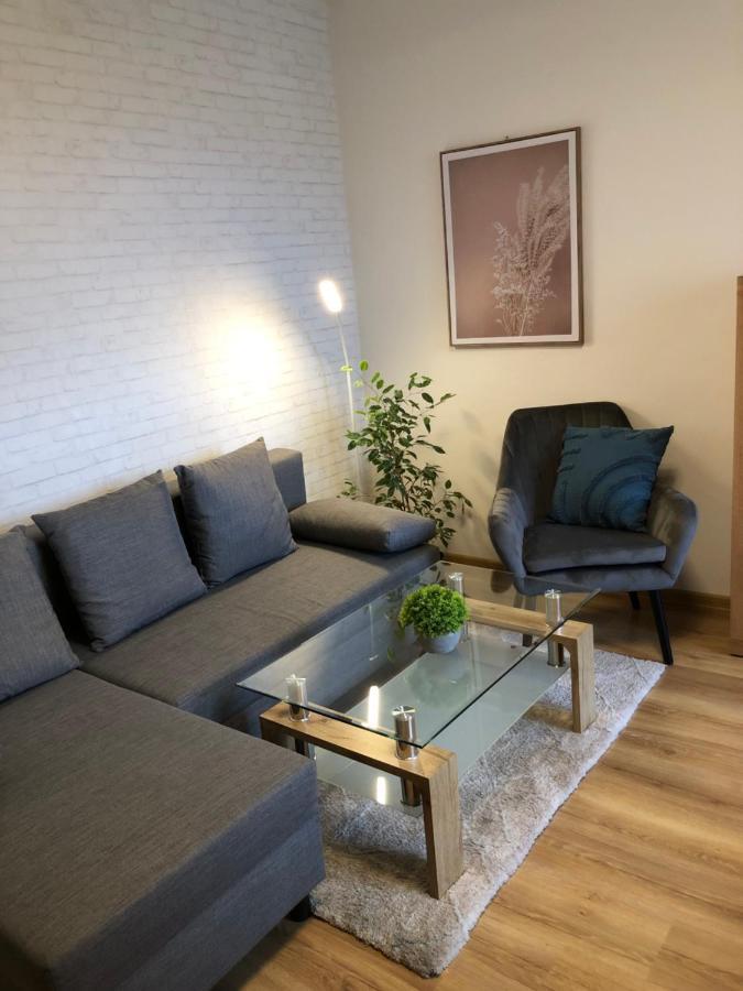 Apartment, Sun Terrace, Privat Parking バンスカー・ビストリツァ エクステリア 写真